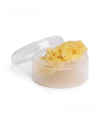 SUAVINEX ESPONJA NATURAL PREMIUM CAJA