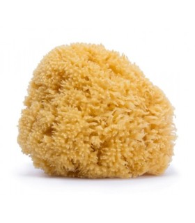 SUAVINEX ESPONJA NATURAL GRANDE