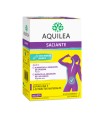 AQUILEA SACIANTE 15 STICKS 15 ML SABOR PIÑA