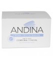 ANDINA CREMA DECOLORANTE PEQ 30ML
