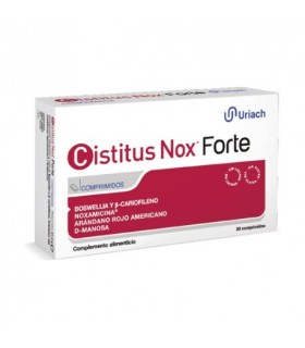 CISTITUS NOX FORTE 20 COMP